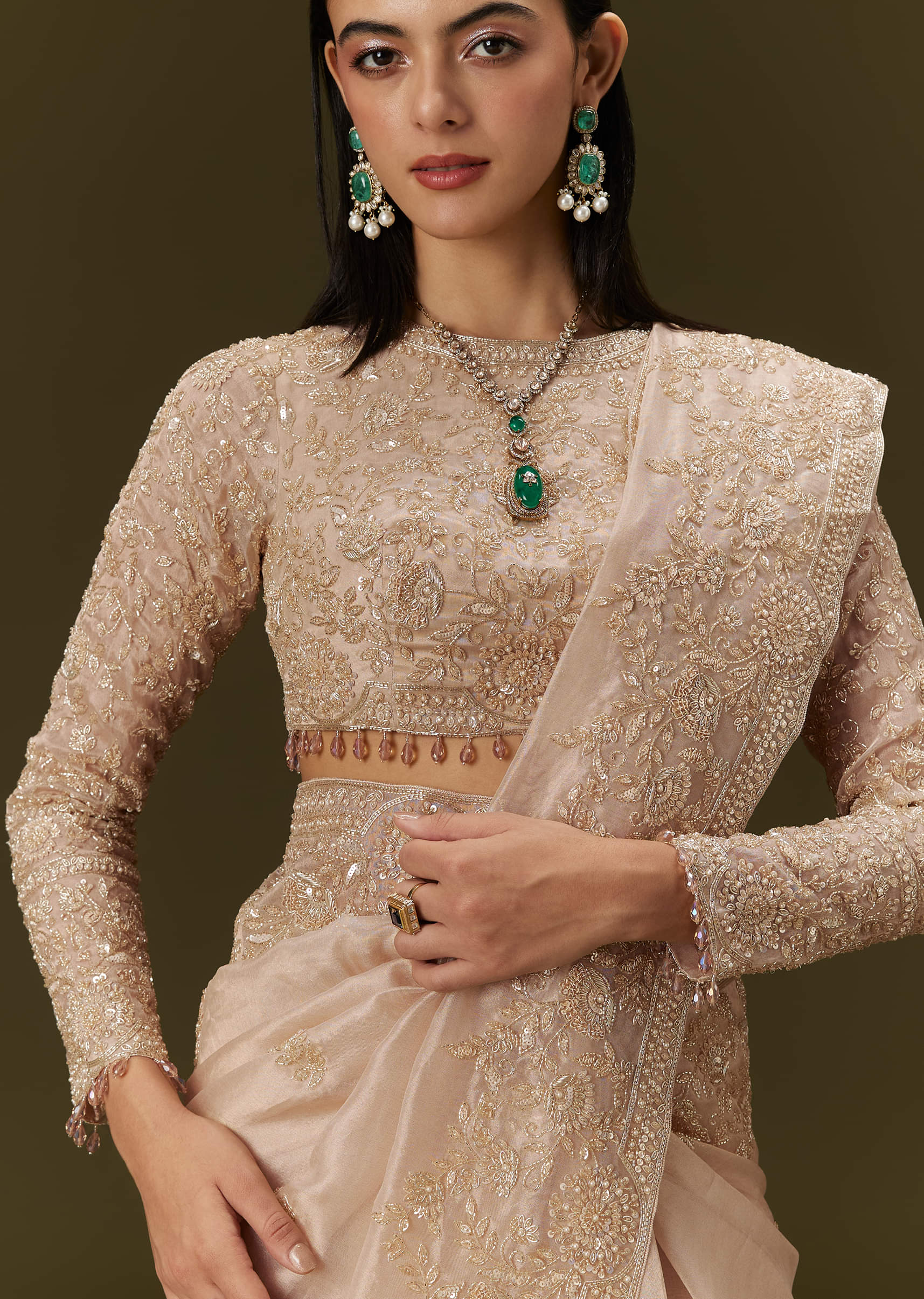 Beige Ivory Tissue Saree With Velvet Embroidered Blouse - Image 3