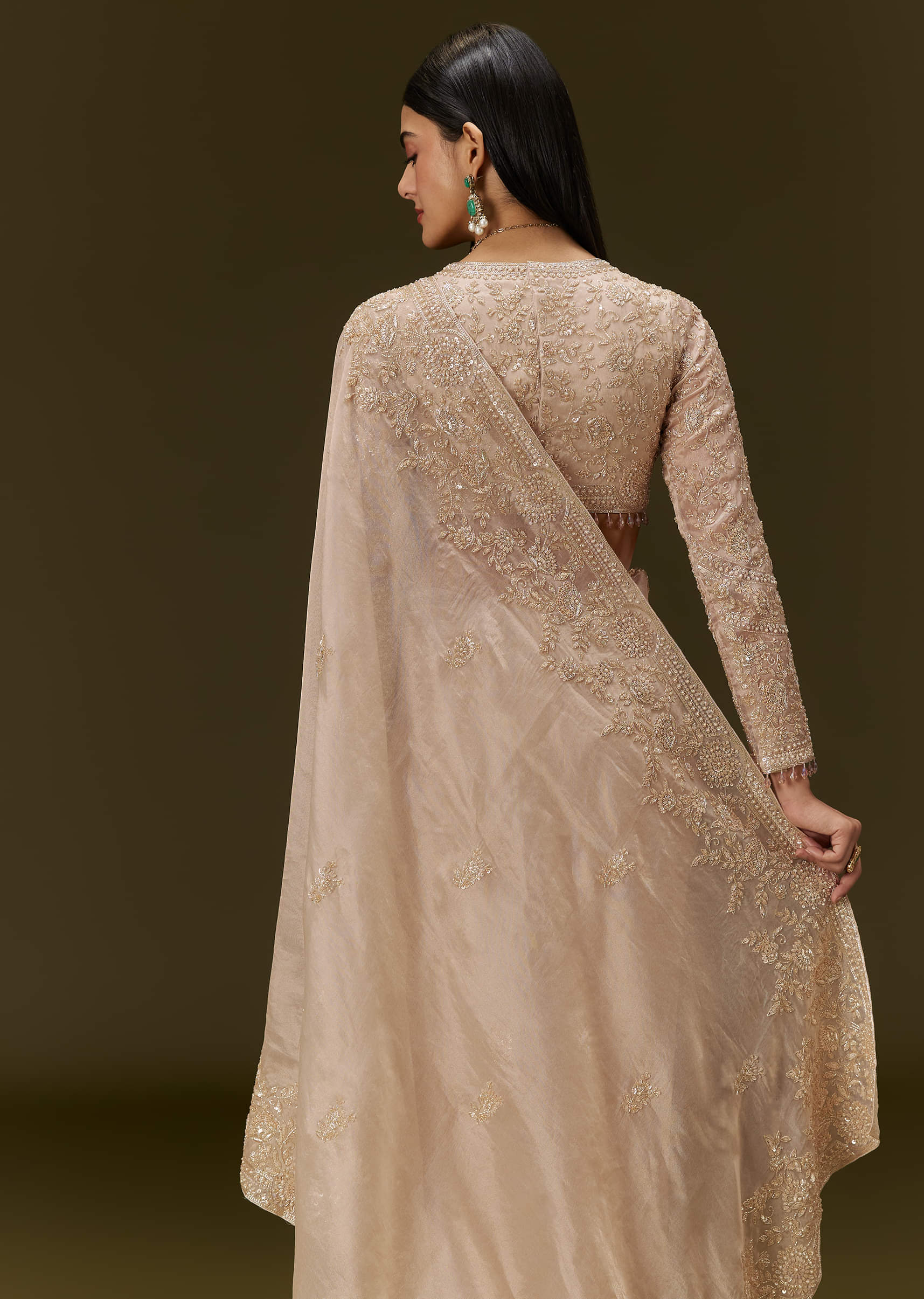 Beige Ivory Tissue Saree With Velvet Embroidered Blouse - Image 4