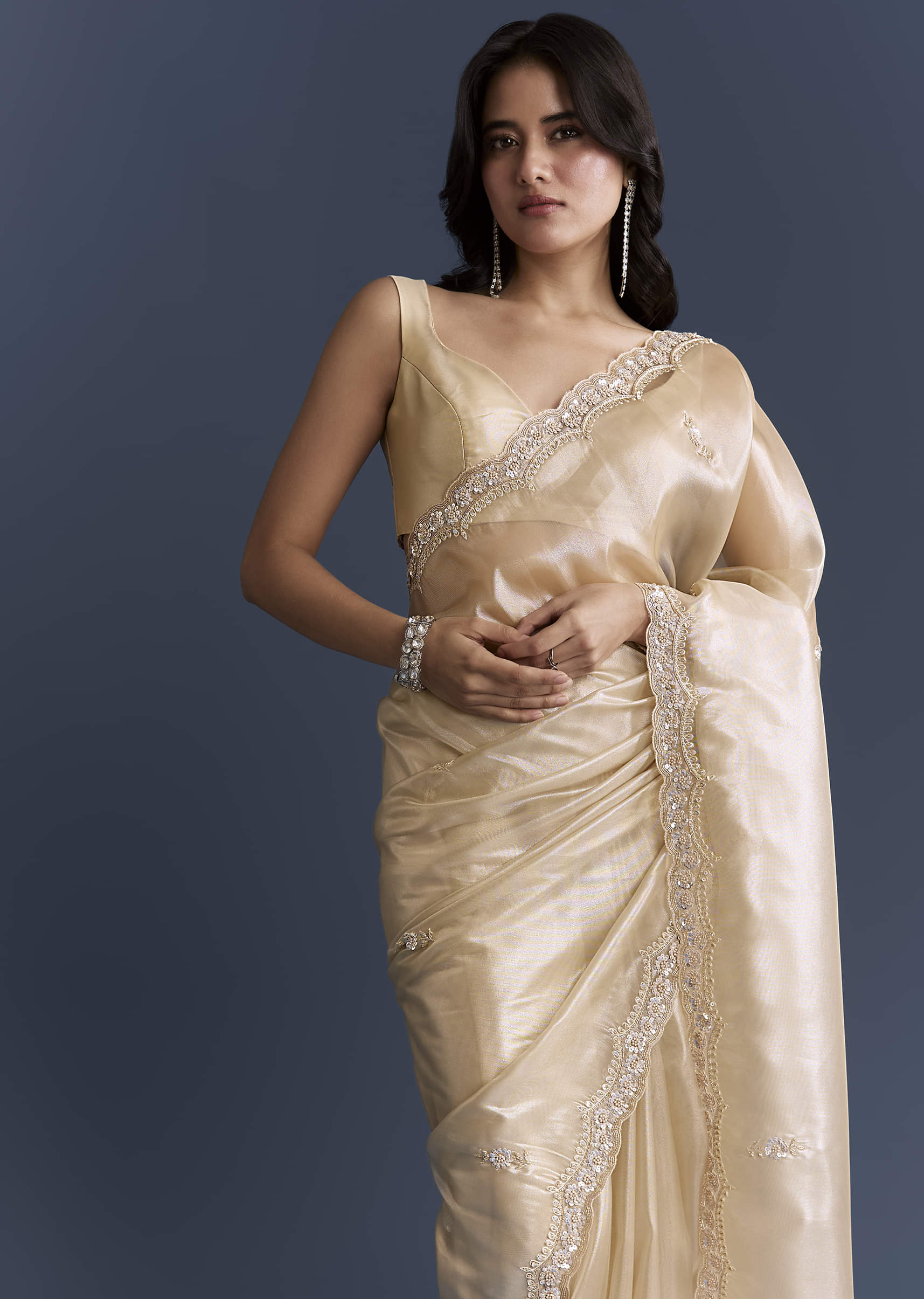 Beige Net Saree With Heavy Hand Embroidery - Image 5