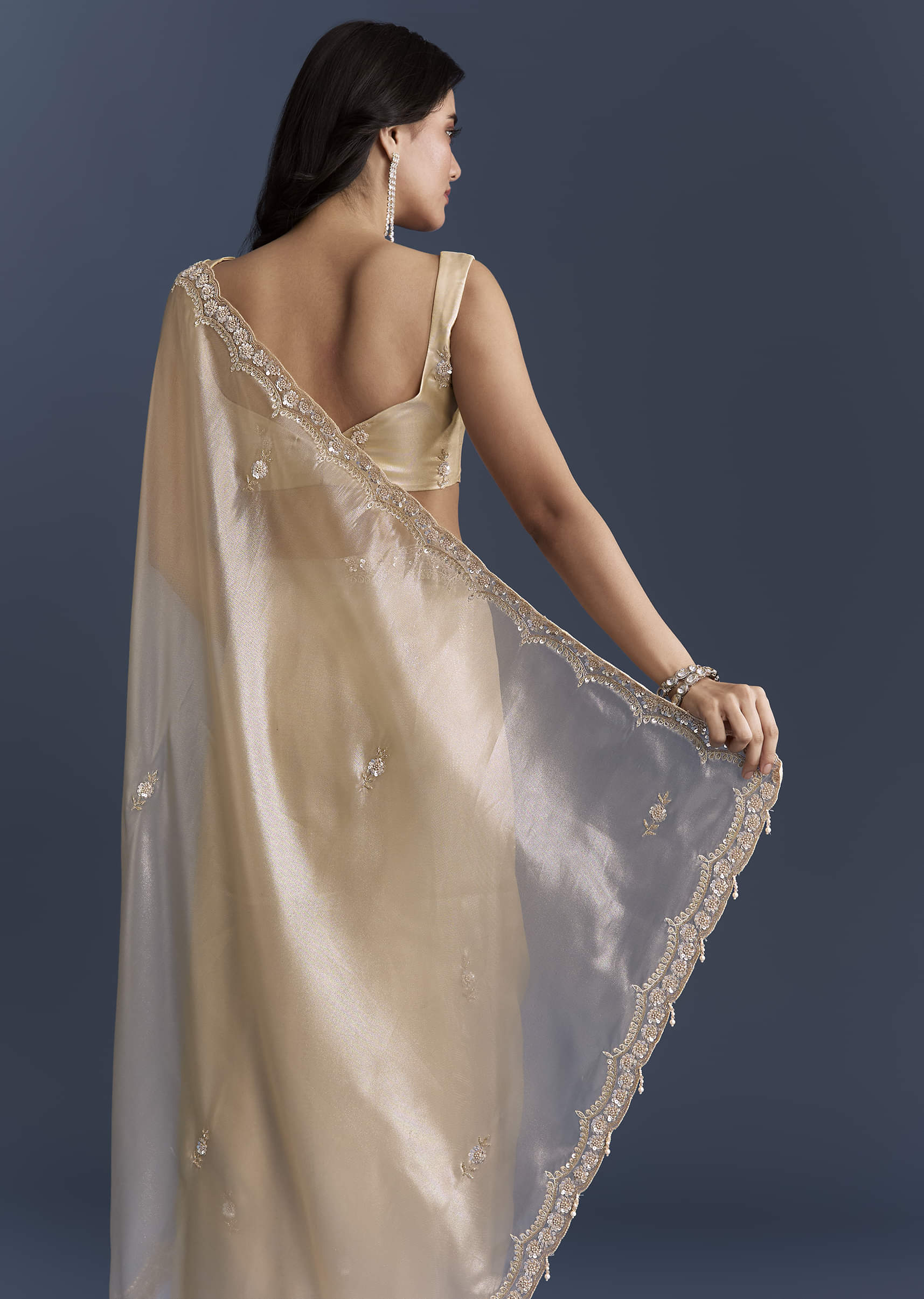 Beige Net Saree With Heavy Hand Embroidery - Image 6