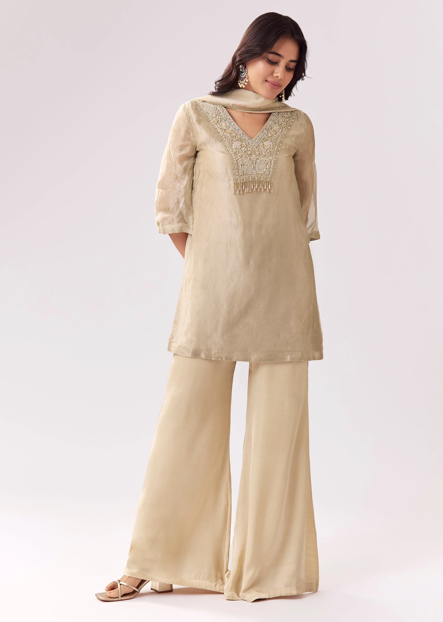 Beige Shimmer Palazzo Suit With Sequin Work - Image 3