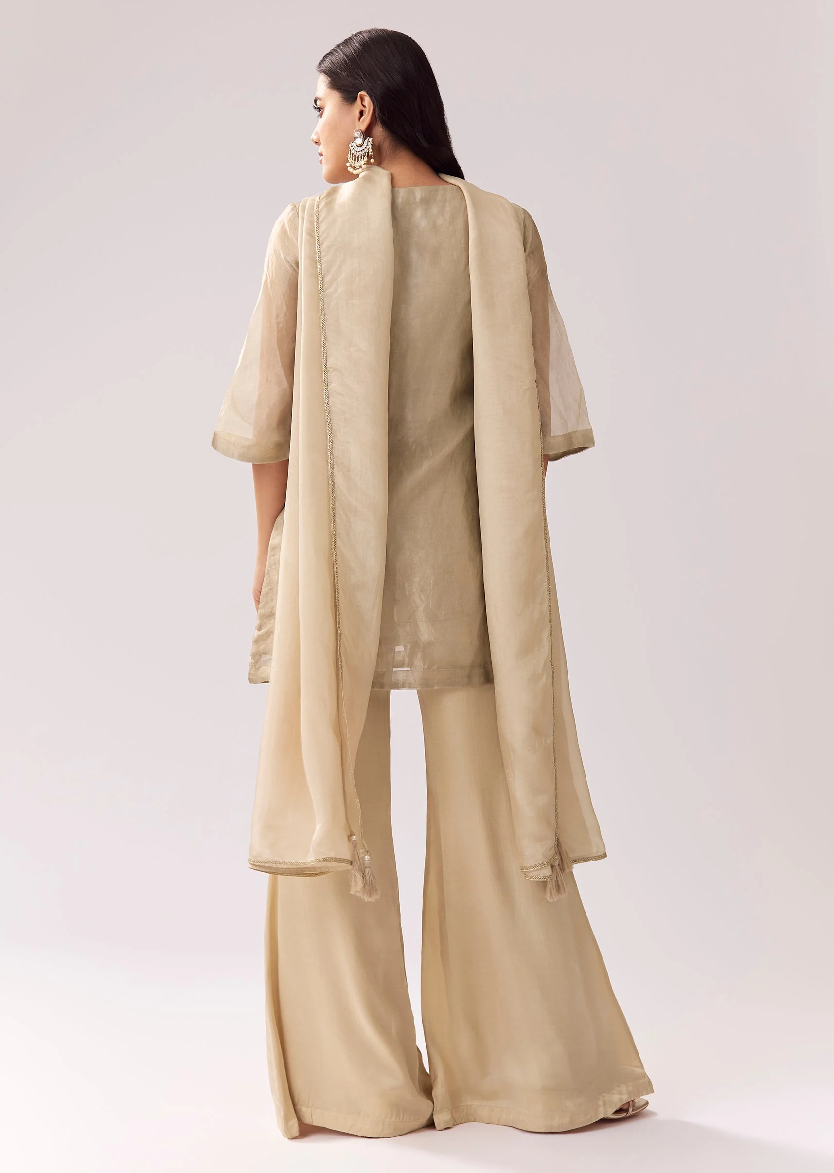 Beige Shimmer Palazzo Suit With Sequin Work - Image 5