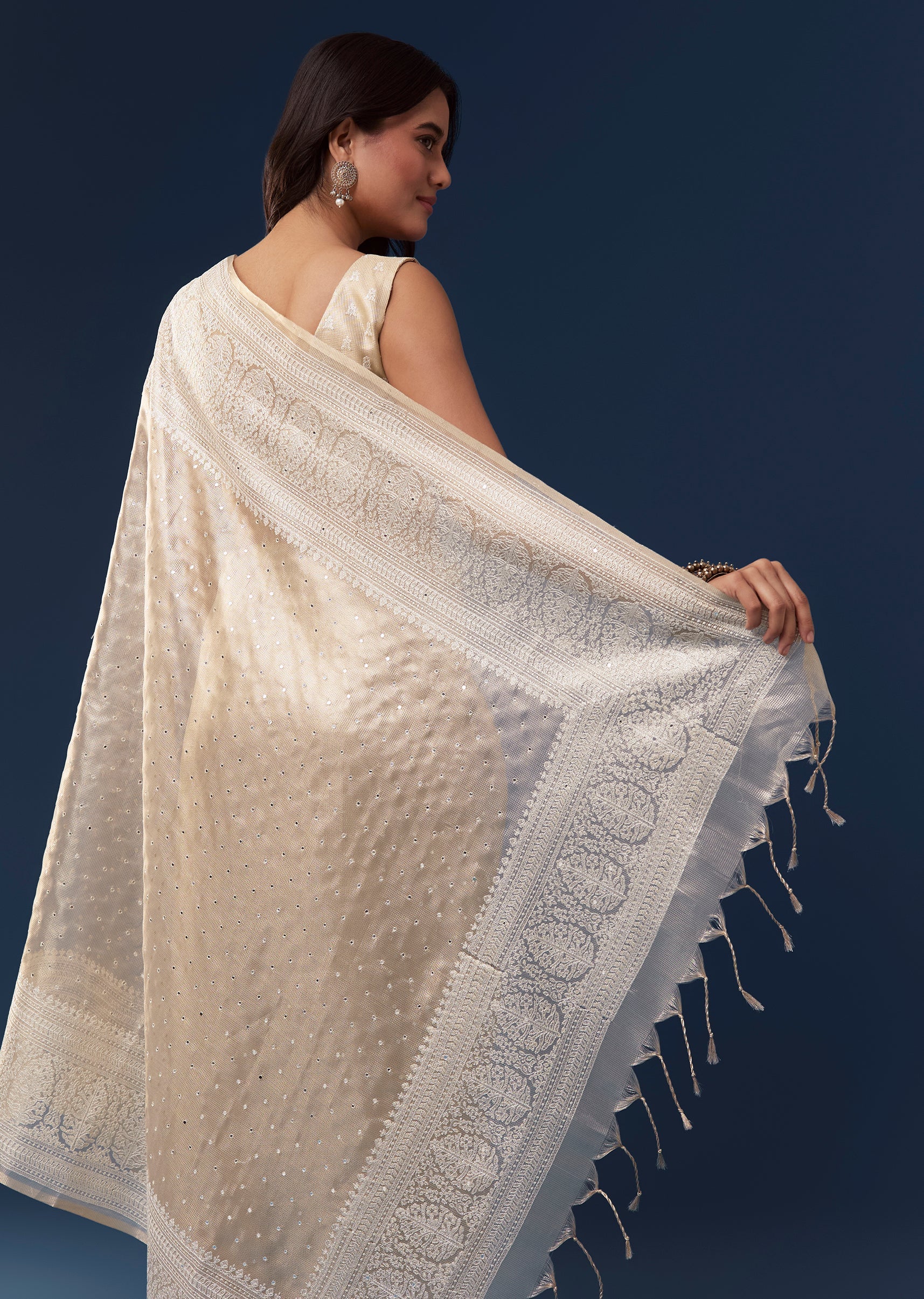 Beige Tissue Saree With Resham Thread Border And Mirror Work - Image 6