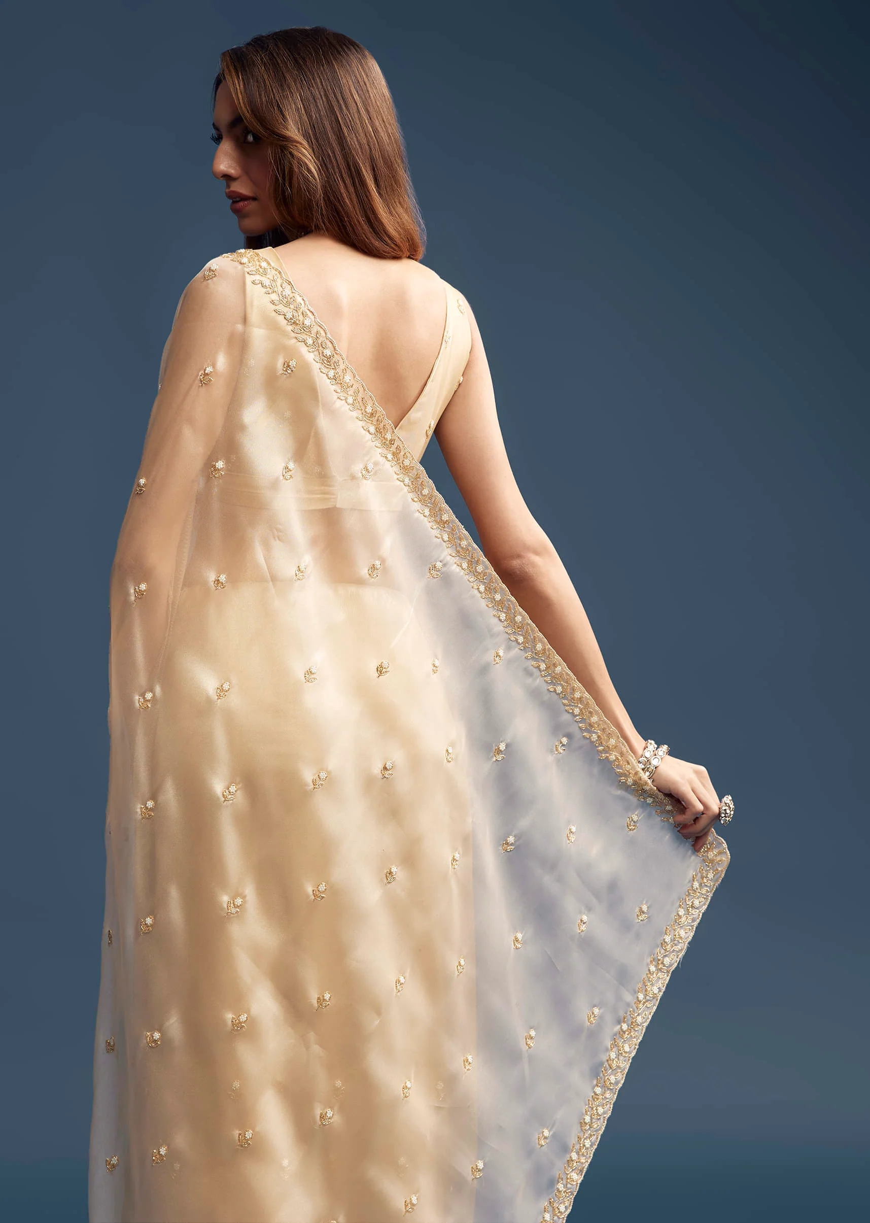 Beige Tissue Saree With Vine And Floral Embroidery - Image 3