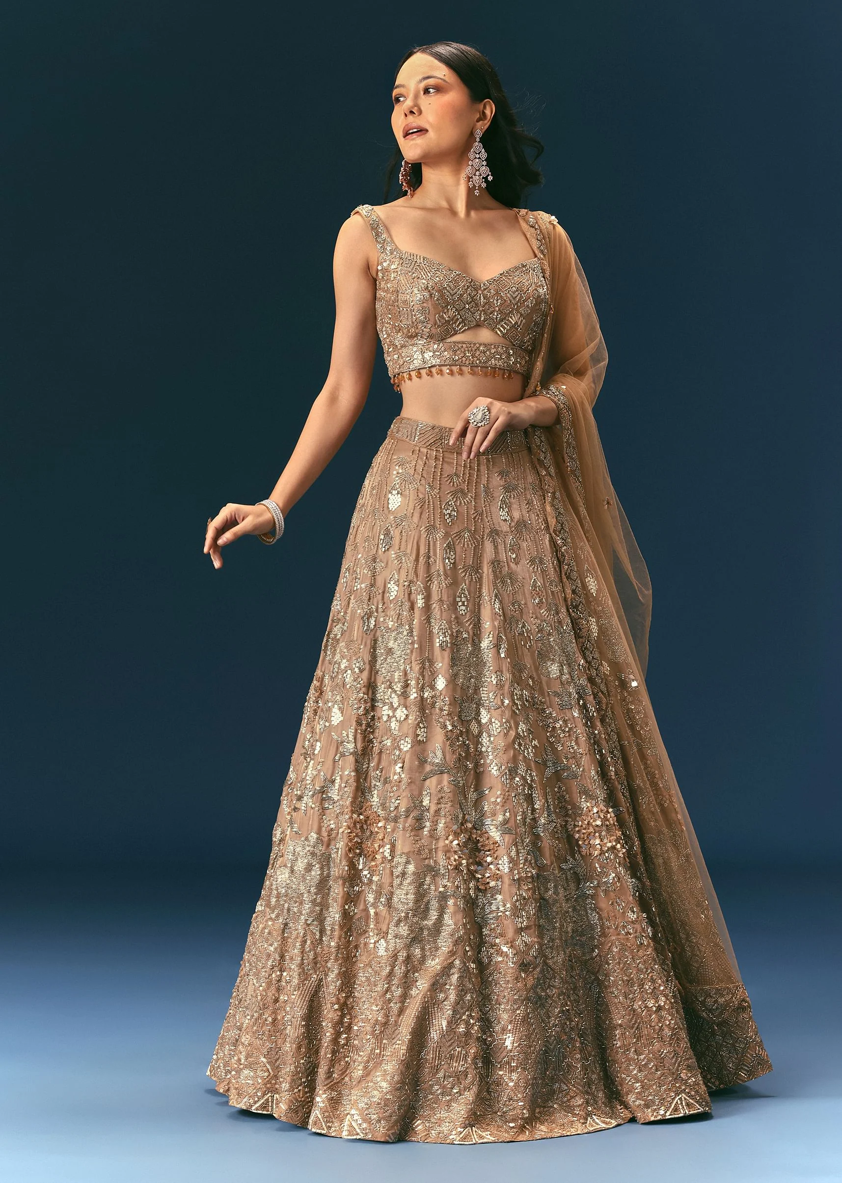 Bronze Organza Lehenga Set With Hand Work - Image 3
