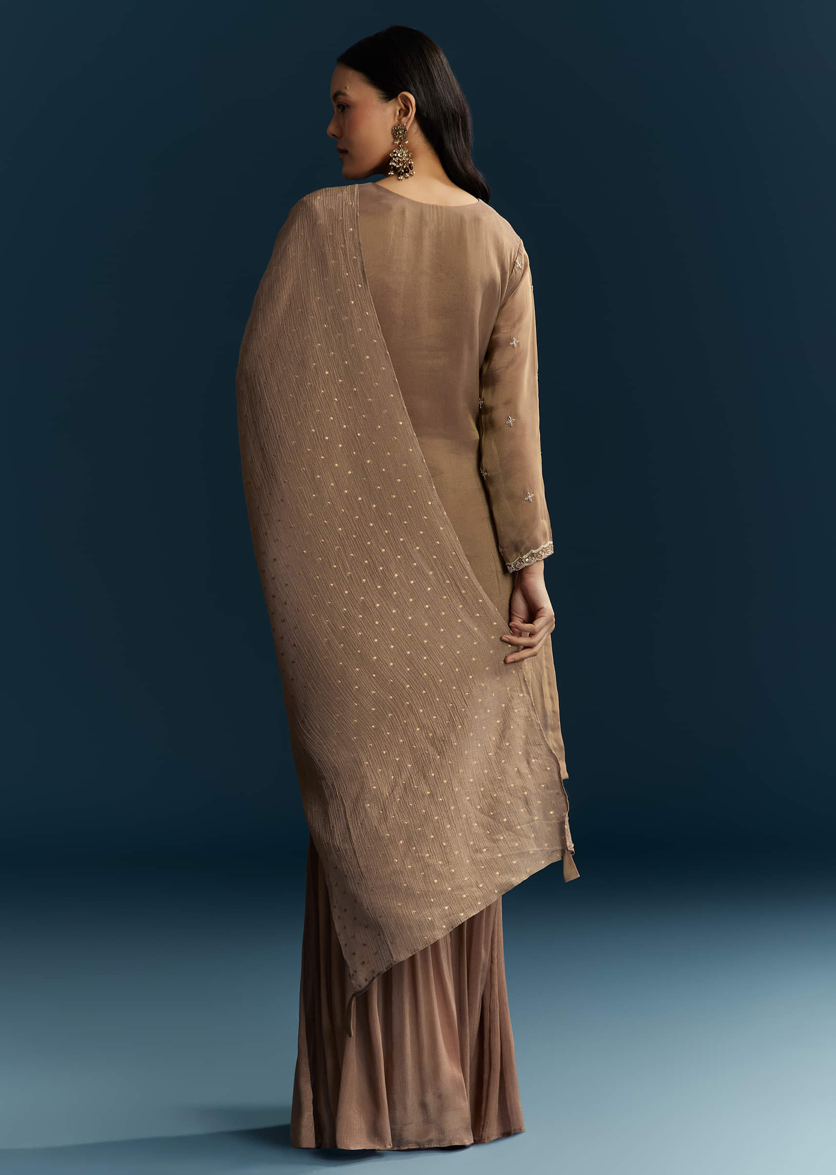 Brown Tissue Sharara Suit With Zardosi And Thread Work - Image 5