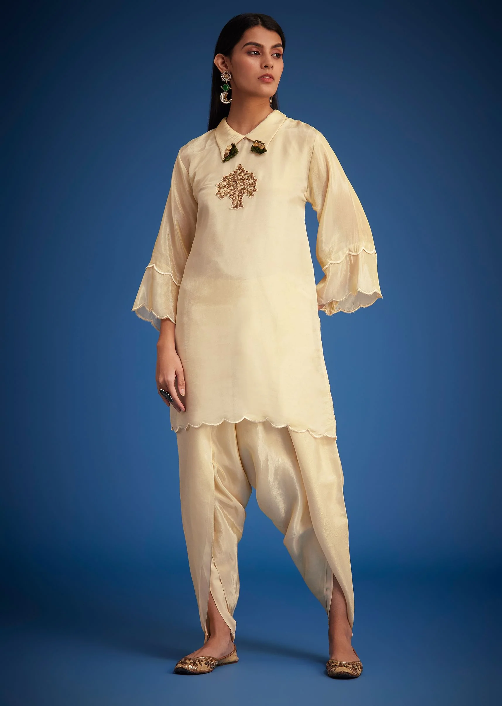 Cream Tissue Embroidered Dhoti Set - Image 6