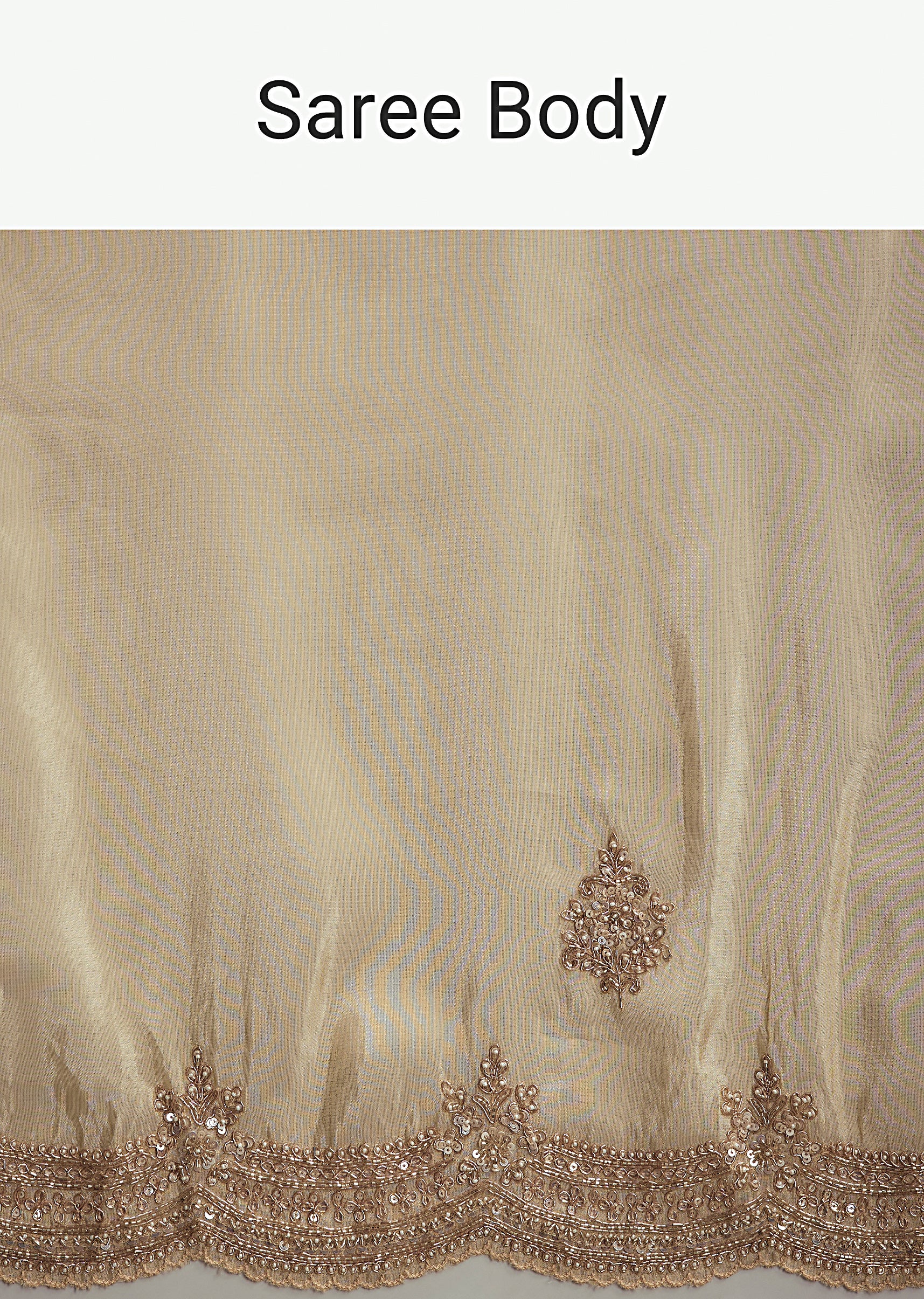 Cream Tissue Saree With Zardosi And Bead Embroidery - Image 10