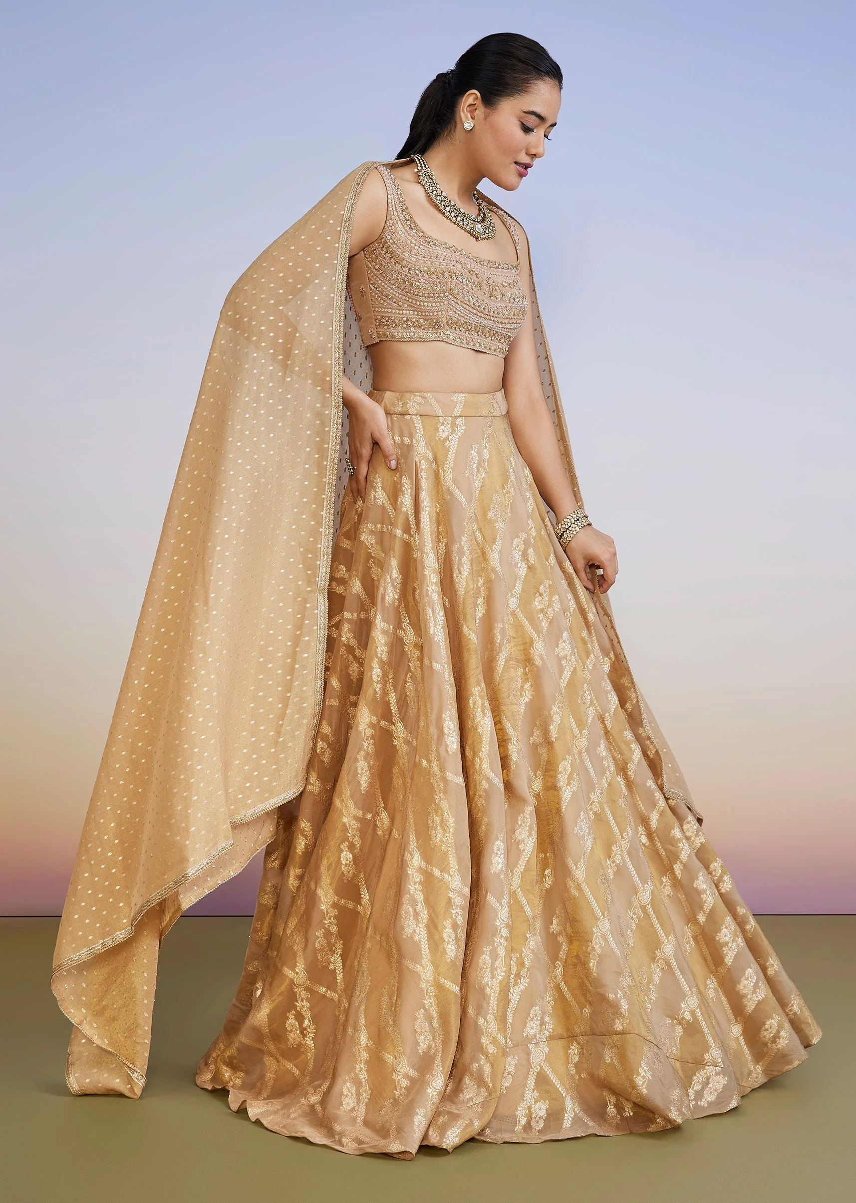 Gold Organza Banarasi Lehenga