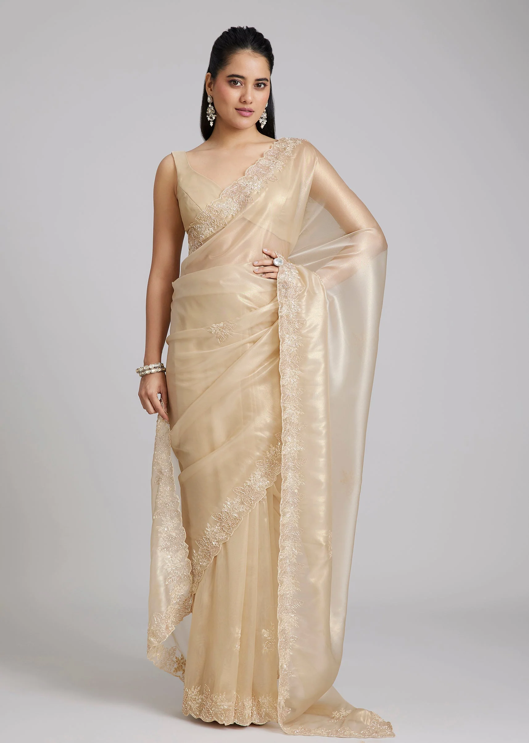 Gold Tissue Saree With Floral Cutwork Border - Image 3