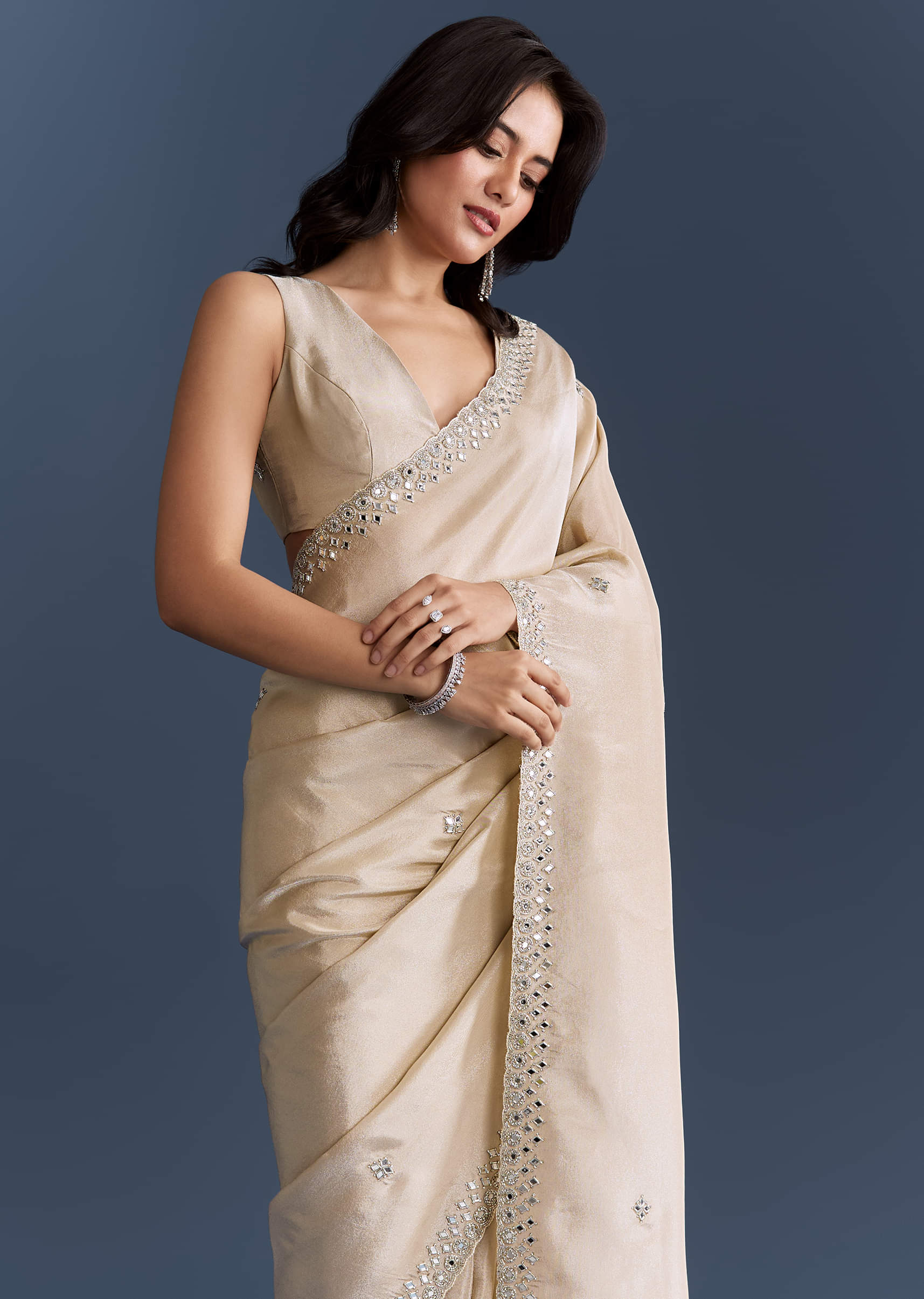 Ivory Tissue Saree With Heavy Hand Embroidery - Image 5