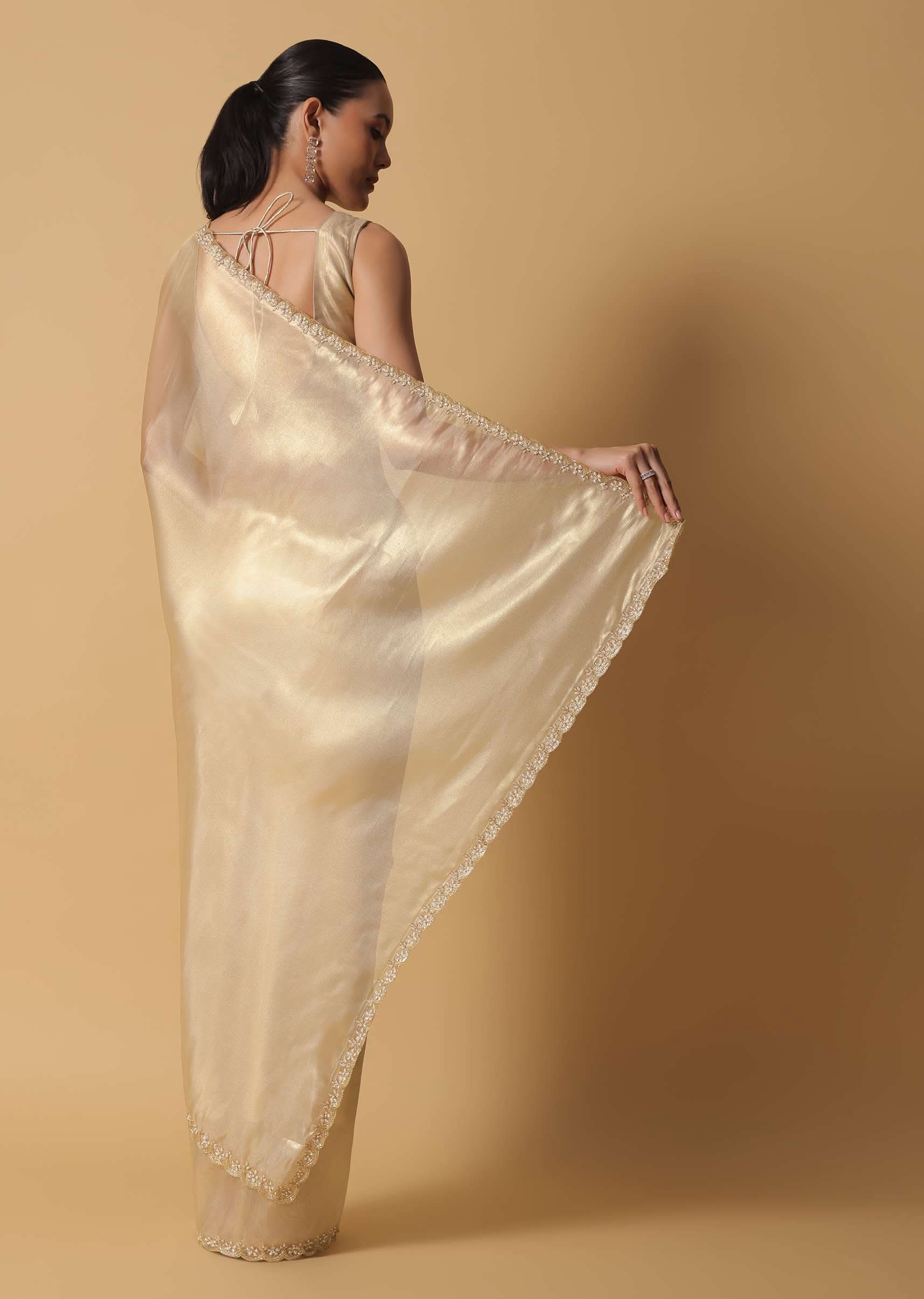 Light Gold Toned Foil Saree In Tissue With Cut Dana Embroidered Borders - Image 4