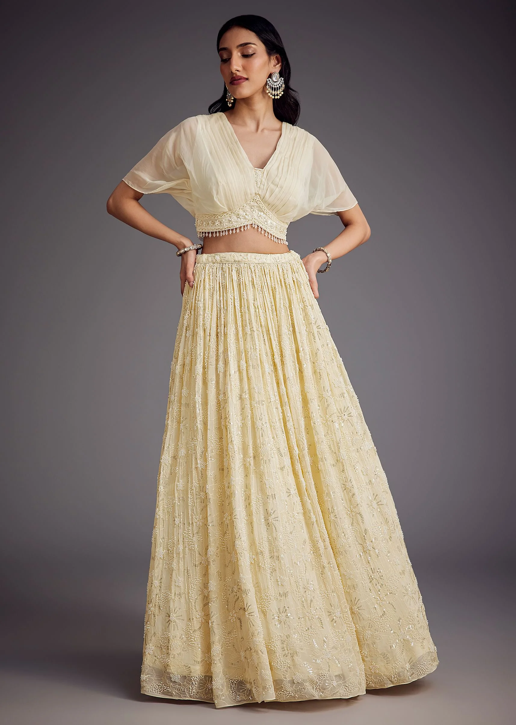 Off White Embroidered Pleated Skirt With Sheer Layered Croptop - Image 4
