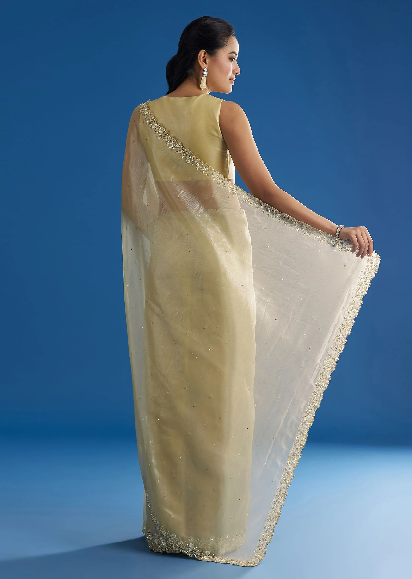 Pastel Green Glass Tissue Saree With Floral Embroidery And Cutwork Border - Image 6