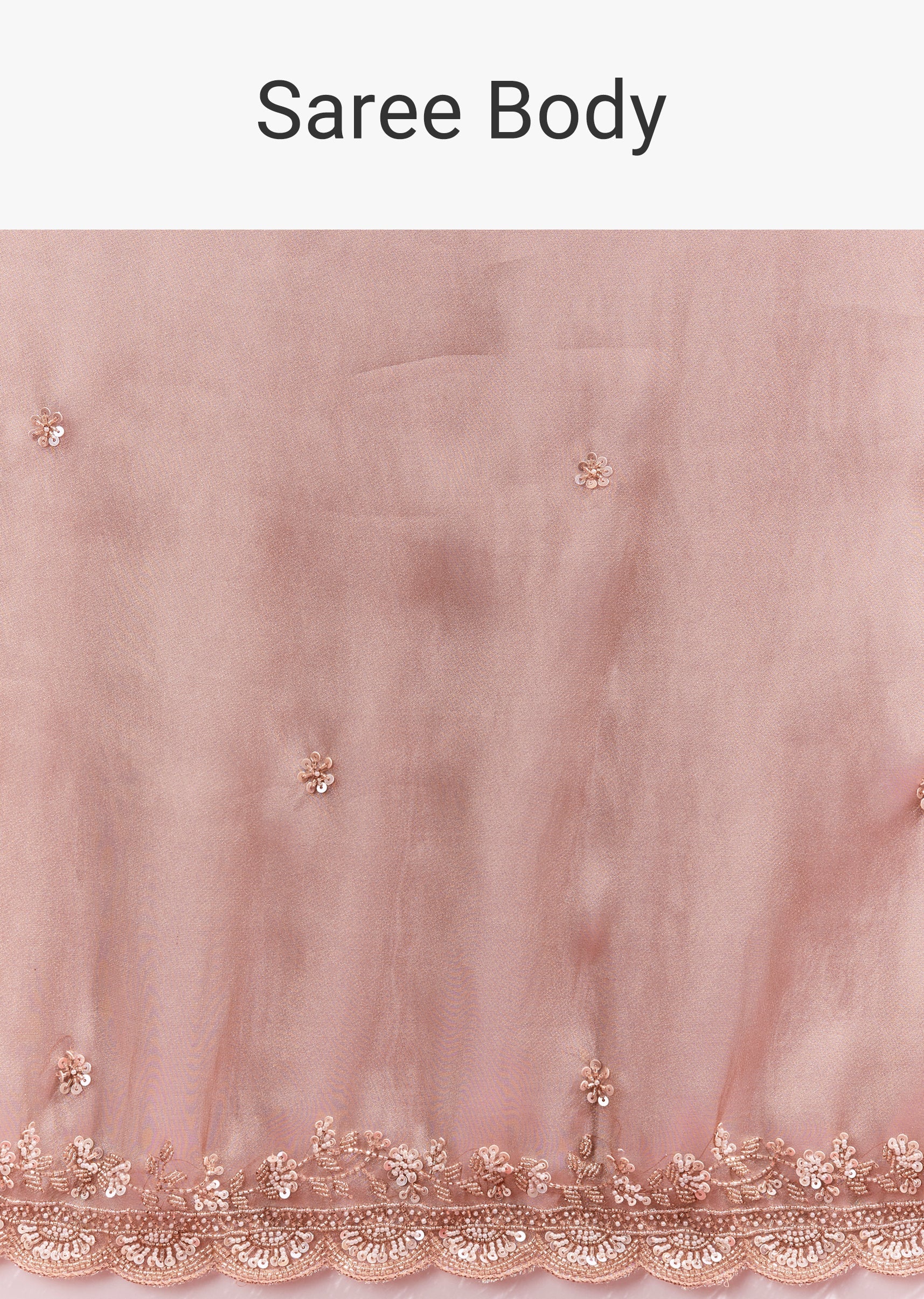 Peach Tissue Saree With Scalloped Embroidered Border And Buttis - Image 9