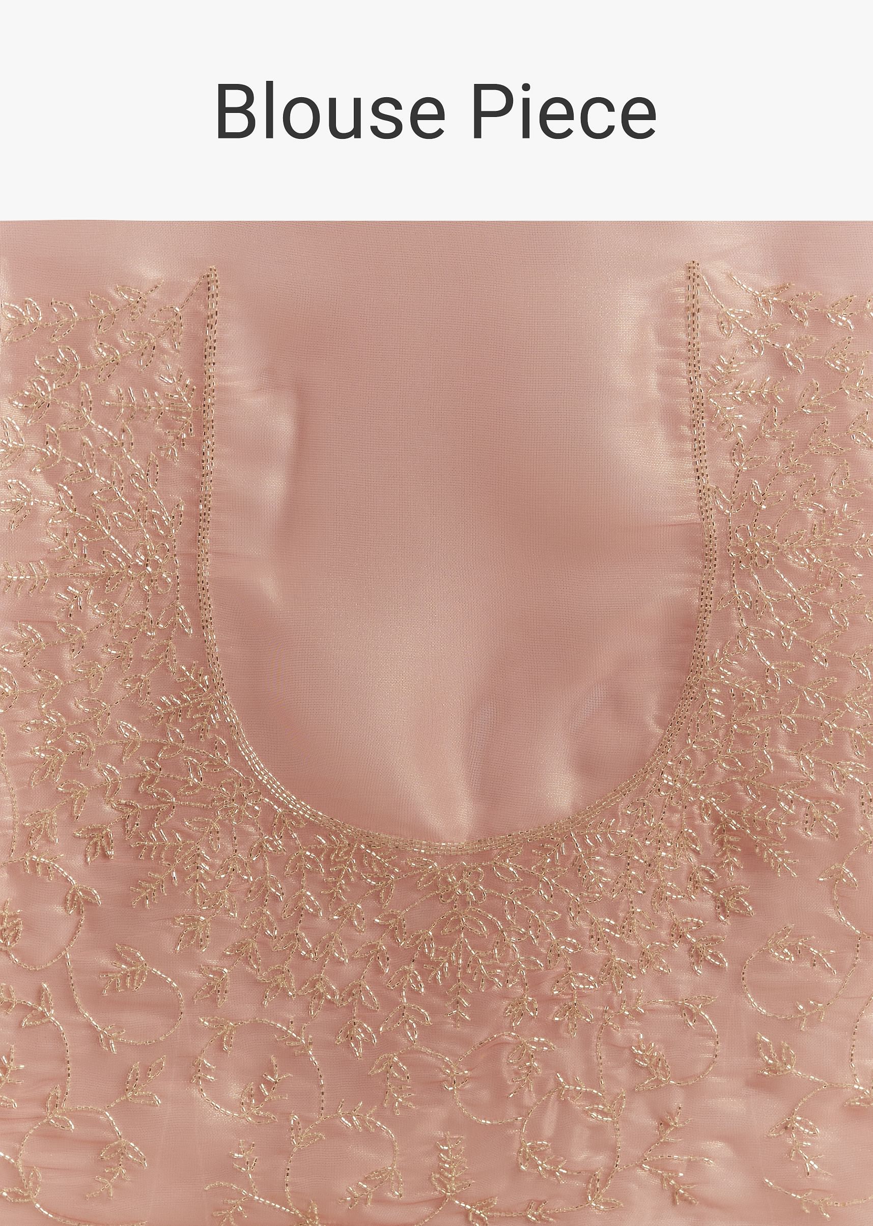 Peach Tissue Saree With Stones Cutdana Embellishments And Scallop Border - Image 10