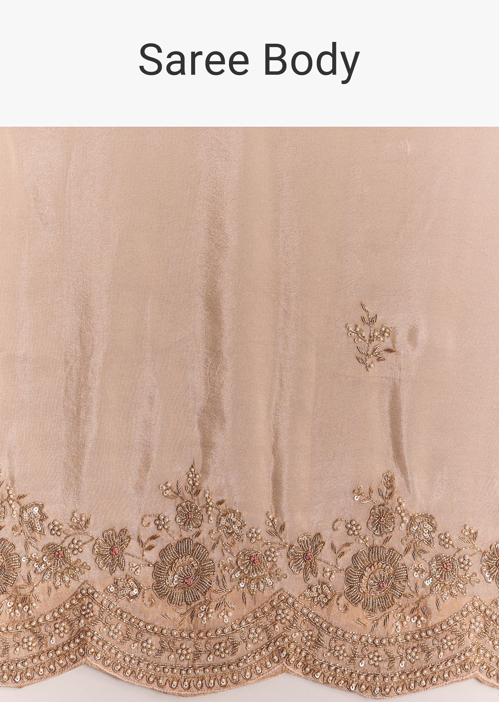 Pink Tissue Saree With Scallop Border - Image 9