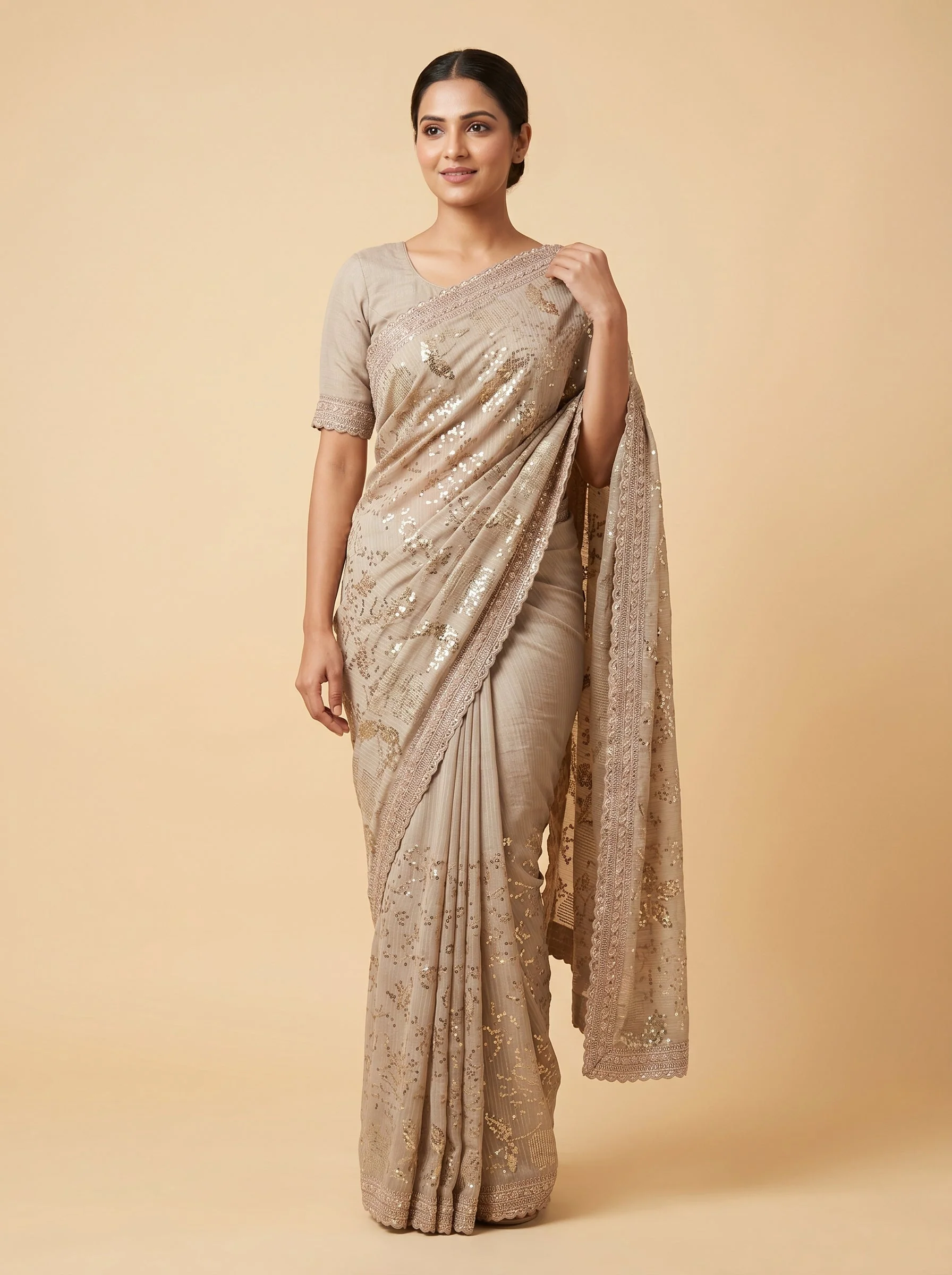 Silver Bright Embroidered Saree