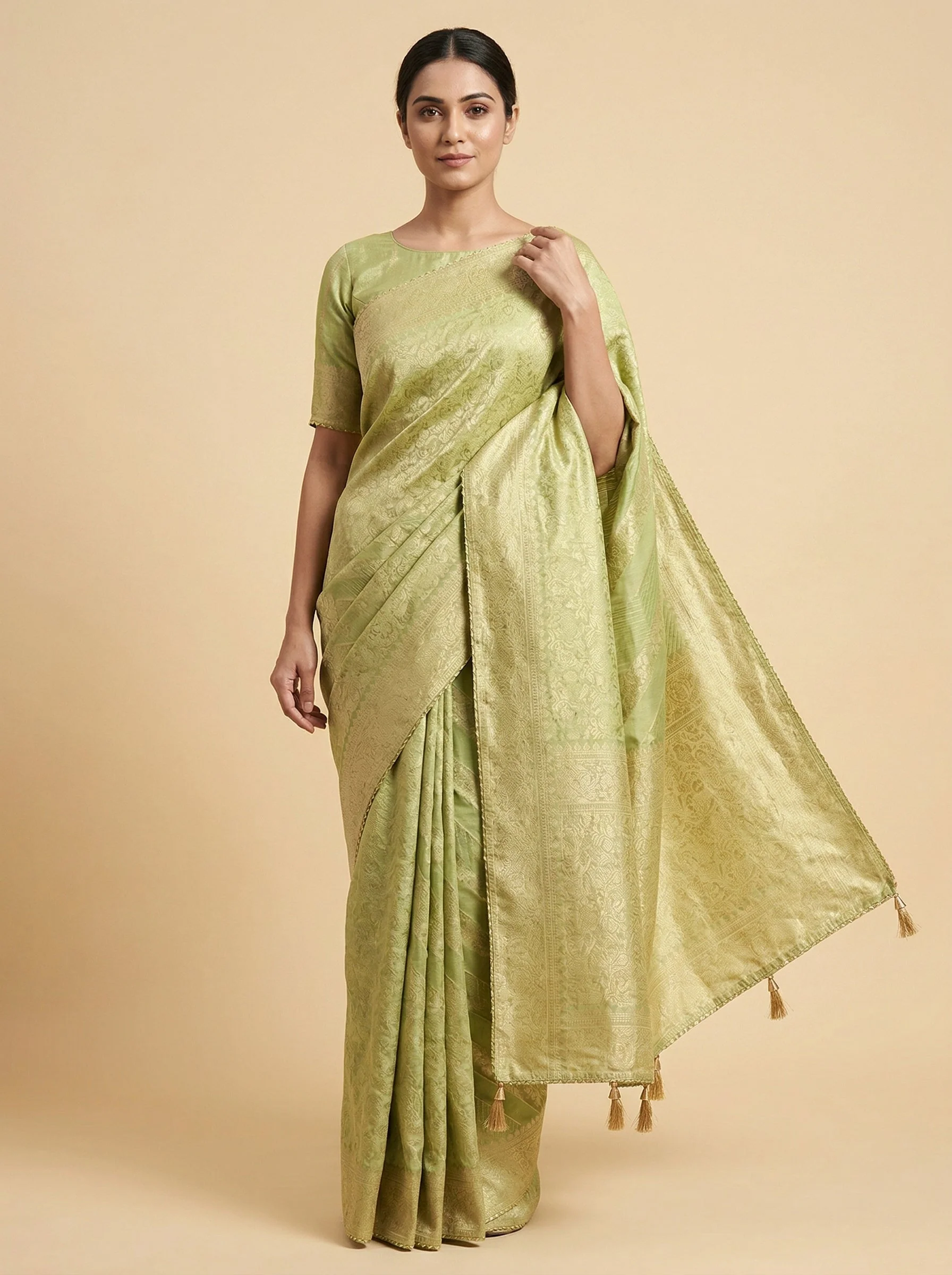 Willow Green Embroidered Saree